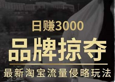 日赚3000+品牌店群，最新淘宝流量侵略玩法（官方售价3600元）