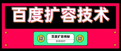 百度扩容最新技术，实测扩容300T，上手即可接单（价值699全套资料）