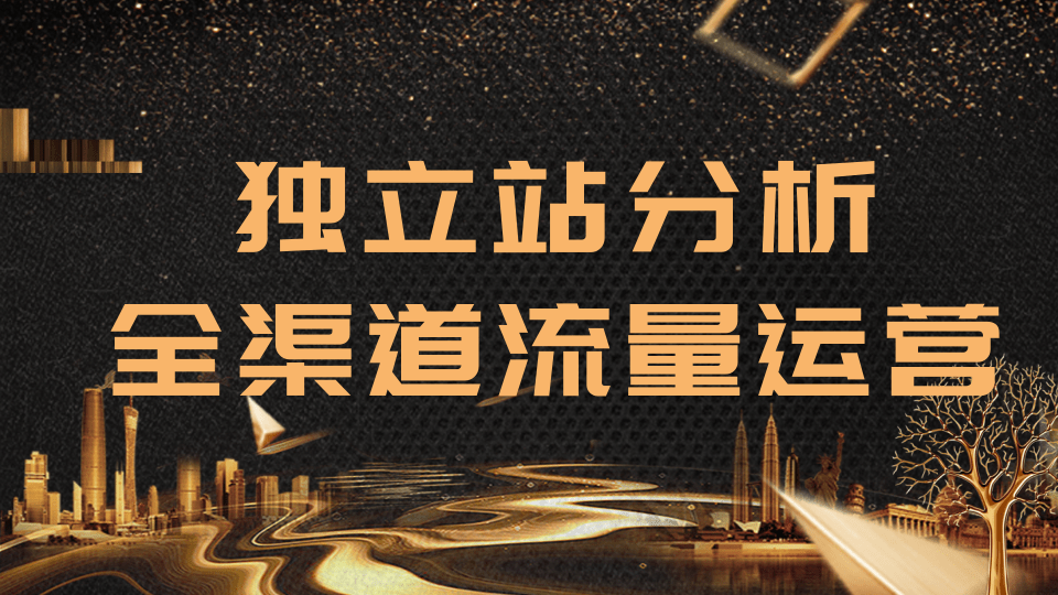 2020跨境电商未来出路，独立站精细化流量运营，手把手教你分析一个网站