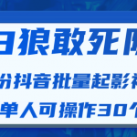 白狼敢死队最新抖音短视频批量起影视号（一天单人可操作30个号）视频课程