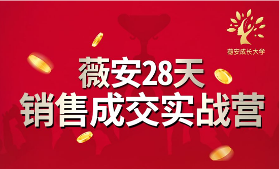 薇安28天销售成交实战营，5分钟成交3万，实现了月入近6位数的营收