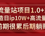 《大流量站项目1.0+2.0》打造日IP10W+高流量站，前期很累后期躺赚