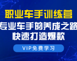 职业车手训练营：专业车手的养成之路，快速打造爆款（8节-无水印直播课）