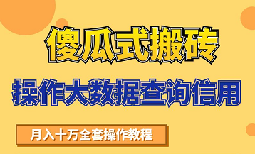 搬砖操作大数据查询信用项目赚钱教程，祝你快速月入6万