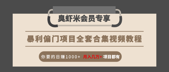 暴利偏门项目全套合集视频教程：你要的日赚1000+月入几万+项目都有