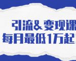 引流&变现课：分享一整套流量方法以及各个渠道收入，每月最低1万起！