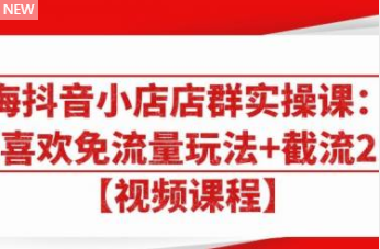 大海抖音小店店群实操课：猜你喜欢免流量玩法+截流 2.0