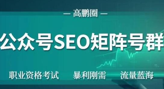 高鹏圈公众号SEO矩阵号群，实操20天纯收益25000+，普通人都能做