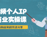 短视频个人IP商业实操课，百万粉丝实战方法分享，小白也能实现流量变现