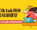 最新Tiktok海外掘金培训课堂：带你玩转Tiktok暴力涨粉轻松变现