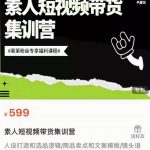 夜草与千里马素人短视频带货集训营，薛辉团队价值599