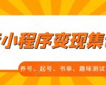 抖音小程序变现集训课，养号、起号、书单、趣味测试、视频剪辑，全套流程