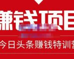 懒人领域·今日头条项目玩法，头条中视频项目，单号收益在50—500可批量