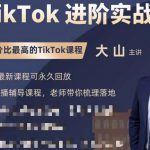 大山老师TikTok进阶实战课：账号详解，流量运营，实战变现，助力你成功出海