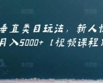 虚拟项目垂直类目玩法，新人快速起店，月入5000+【视频课程】