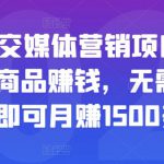 亚马逊社交媒体营销项目，推广Amazon商品赚钱，无需任何投资，即可月赚1500美元