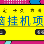 挂机项目追求者的福音，稳定长期靠谱的电脑挂机项目，实操五年，稳定一个月几百