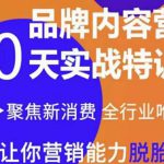 《内容营销实操特训营》20天让你营销能力脱胎换骨（价值3999）