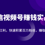 微信视频号赚钱实战：抓住流量红利，快速积累百万粉丝，赚取你的第一桶金