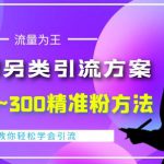 价值888的QQ群另类引流方案，半自动操作日200~300精准粉方法【视频教程】