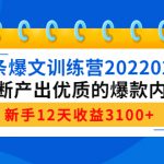 头条爆文训练营202202期，不断产出优质的爆款内容，新手12天收益3100+