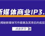 新媒体商业IP3.0，全面揭秘新媒体写作套路及其背后的底层逻辑（价值1299元）