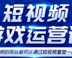 短视频游戏赚钱特训营，0门槛小白也可以操作，日入1000+