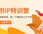 小红书IP特训营：从搭建-制作-爆款脚本等等，做一个赚钱的小红书号