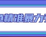 闲鱼精准暴力引流全系列课程，每天被动精准引流100+粉丝