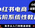 小红书电商高阶系统教程，新手从入门到精通系统课