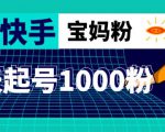 抖音快手三天起号涨粉1000宝妈粉丝的核心方法【详细玩法教程】