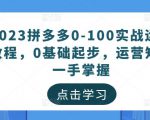 2023拼多多0-100实战运营教程，0基础起步，运营知识一手掌握