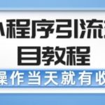 微信小程序引流变现项目教程，当天操作当天就有收益，变现不再是难事