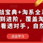 淘宝实战宝典+淘系全系列进阶，初级到进阶，覆盖淘系99%的知识，看透对手，自然会运营