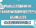 1688诚信通运营精英班，17节课让新手快速掌握阿里巴巴诚信通店铺运营