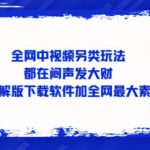 全网中视频另类玩法，都在闷声发大财，附带破解版下载软件加全网最大素材库