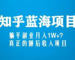 知乎蓝海玩法，躺平副业月入1W+，真正的睡后收入项目（6节视频课）