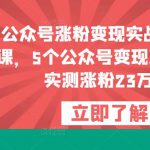 公众号涨粉变现实战项目课，5个公众号变现项目，实测涨粉23万