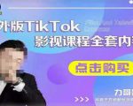 海外TikTok影视课程全套，从搭建渠道，到如何正确使用账号，到未来的变现渠道等