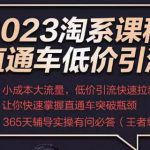 2023直通车低价引流玩法课程，小成本大流量，低价引流快速拉新收割，让你快速掌握直通车突破瓶颈