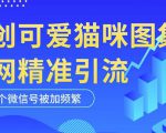 黑科技纯原创可爱猫咪图片，全网精准引流，实操5个VX号被加频繁