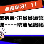 牛气学堂茶茶•拼多多运营玩法系列课—-快速起爆秘籍