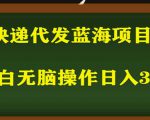 2023最新蓝海快递代发项目，小白零成本照抄也能日入300+