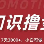 抖音知识撸金项目：简单粗暴日入1000+执行力强当天见收益(教程+资料)