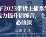 大木子2023带货主播系统课，主播能力提升训练营，主播带货必修课