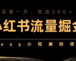 2023小而美的项目，小红书流量掘金，实操一天，收益200+【揭秘】