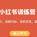 小红书训练营，搭建账号，选题对标，涨粉变现，看透本质