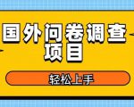 国外问卷调查项目，日入300+，在家赚美金【揭秘】