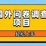 国外问卷调查项目，日入300+，在家赚美金【揭秘】
