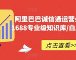 阿里巴巴诚信通运营必修课程，​1688专业级知识库/白皮书/全攻略